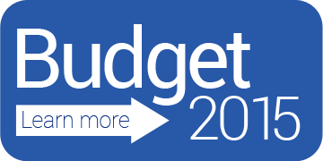 2015 Budget